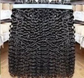 Blossom Indian Curly